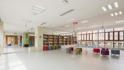 学校